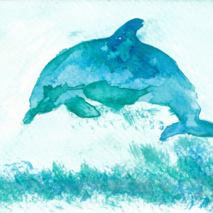 Unikat Postkarte A6 – Animals of the Sea – Dolphin, SplishSplash