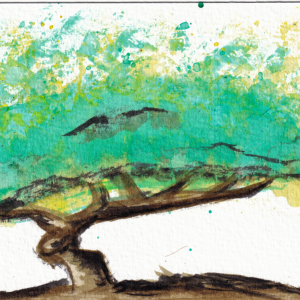Unikat Postkarte A6 – Everyday 1 Tree, Bonsai